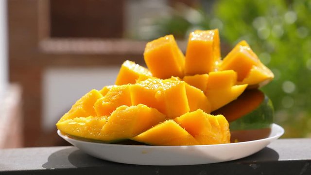 Half cutted cubes slices ripe mango on poolside background, nobody