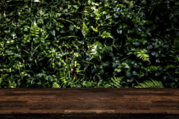 Dark wood table top with blur on green palm leaves or tree in tropical forest with bokeh light at background.