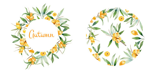 Decorative wreath and round frame of sea buckthorn