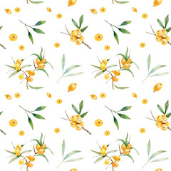 Decorative  seamless pattern of branches and berries of sea buckthorn