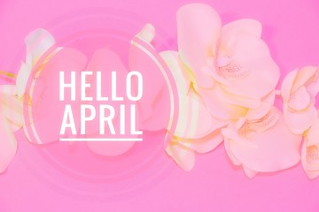 Banner hello april. Hi spring. The second month of spring. Welcome card © alenka2194