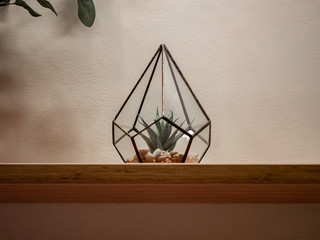 Fototapeta na wymiar On the wall shelf is a glass object with a green plant