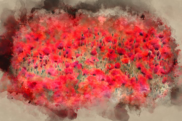 Watercolour painting of Poppy field landscape in Summer countryside sunrise