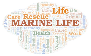 Marine Life word cloud.