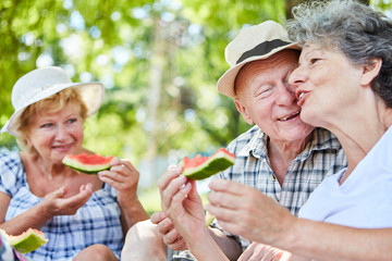 Senioren Paar und Freunde machen ein Picknick