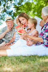 Großfamilie macht ein Picknick im Sommer