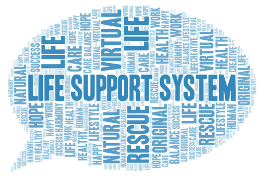 Life Support System Word Cloud.