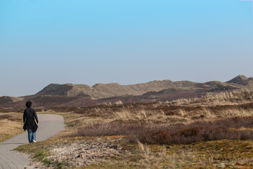 Fototapeta na wymiar In the Dunes of Langeoog