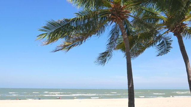 Palm trees on a tropical beach.  Vacation spot for a relax. Travel and tourism.