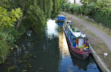 Colourful long boat with pots of plants and flowers on the Stort River anchored to the shore, surrounded by big trees and parks, Bishop's Stortford, England, Uk