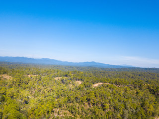 Aerial view forest and blue sky