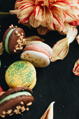 Composition of delicious bright macaroons and floral petals, sweet dessert