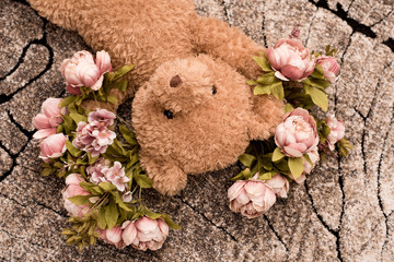 teddy mit blumen auf teppich liegend