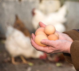 Woman farmer holding fresh organic eggs