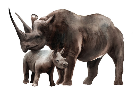 Watercolor Animals - Black Rhino With A Kid