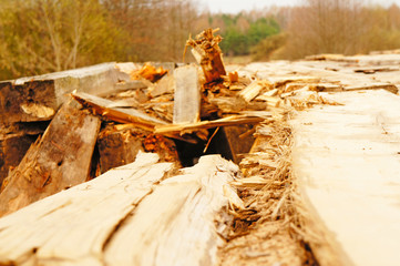 Wooden forest pier. Forest bridge. Wooden buildings in the forest.