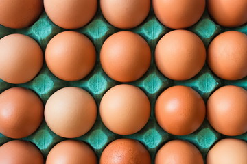 bright turquoise blue tray with bright fresh beautiful neat yellow chicken eggs close-up