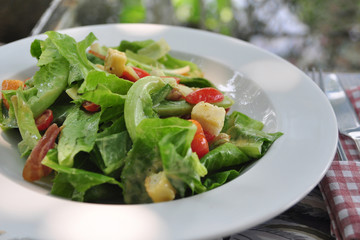 Close up of vegetable salad in white plate, healthy eating, diet food,  Vegetarian concept