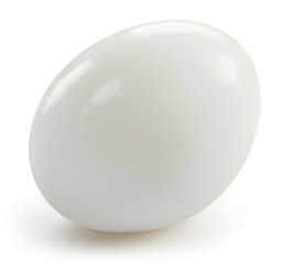 With egg isolated on white