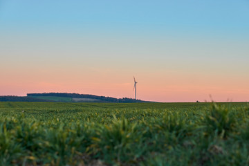 Fototapeta na wymiar Windkraftwerk im Sonnenuntergang