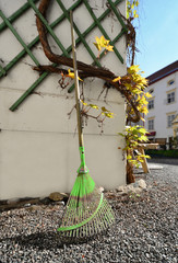 Green garden rake leaning against wall in a courtyard 