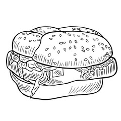 Hand drawn illustration of hamburger.