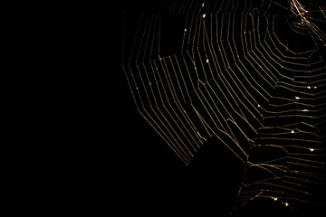 spider web on black background
