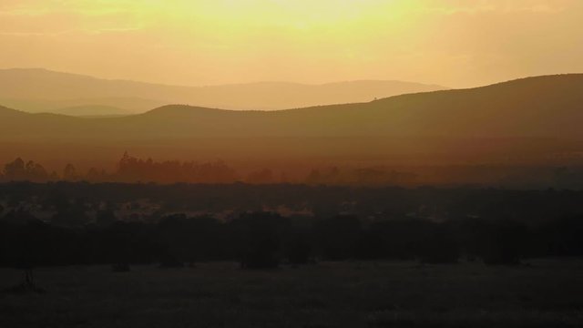 African savannah landscape in Maasai Mara National Reserve at dusk