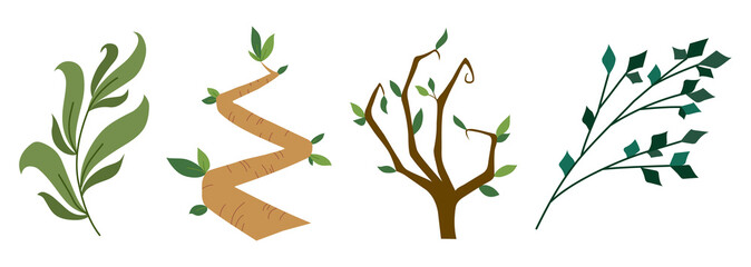 Vector designer elements set collection of green forest fern, tropical green eucalyptus greenery art foliage natural branch, leaves herbs in watercolor style. Illustration for design.