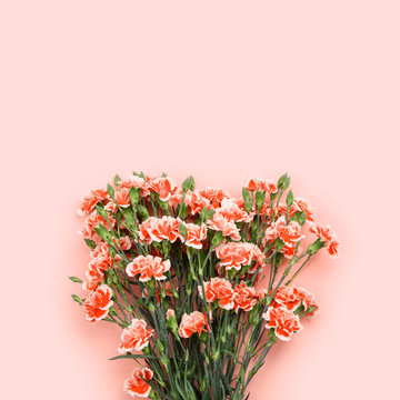 Bouquet of carnation flowers on pastel rose background. Top view with copy-space for text.
