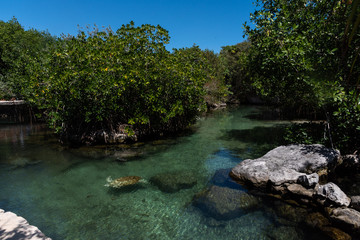 river of green