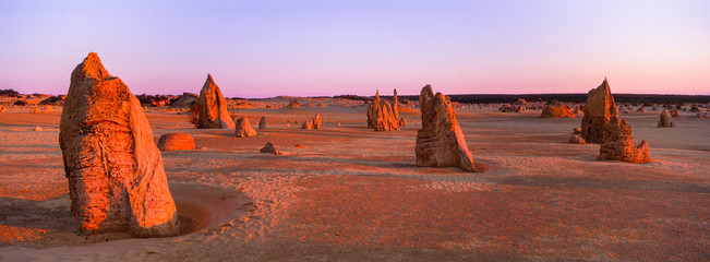 Coucher de soleil panoramique sur les Pinnacles (piliers calcaires altérés) près de Cervantes, Australie occidentale