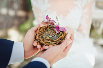 The hands of the groom and bride hold wedding rings in a bird's nest. Symbol of building a new strong family based on love.