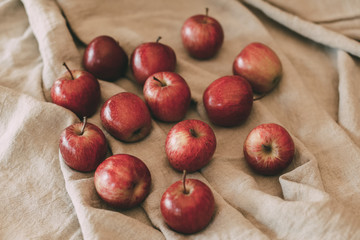 Ripe red apples in vintage background. 