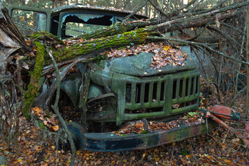 Fallen tree on abandoned truck left outside
