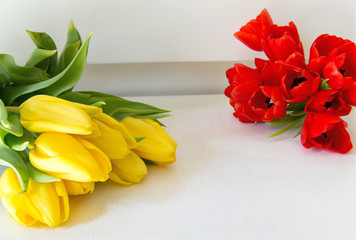 two fresh bunches of red and yellow spring tulips with white background