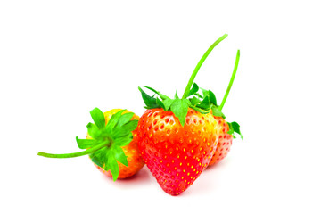 Strawberry (Fragaria x ananassa Duchesne) are fresh red fruit. rich in vitamins have a taste sour and sweet on isolated white background and clipping path