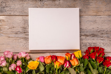 Obraz premium Colorful rose flowers