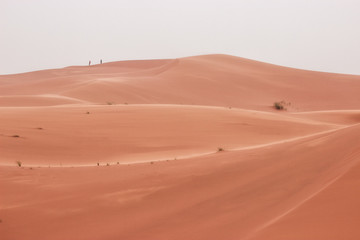 People walk on the dunes of the Sahara desert, Merzouga Morocco.