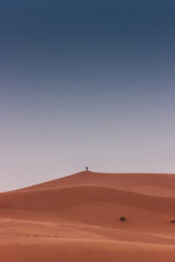 Fototapeta na wymiar Amazing landscape in the Sahara Desert, Merzouga Morocco. Beautiful adventure trip among the sand dunes