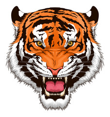 Stylized roaring tiger head