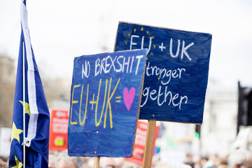 Fototapeta premium Anti-Brexit suporters in London campaigning to stay in European Union.