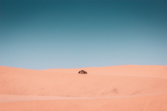 The hump of the dromedary, minimalist photographic shot in the Sahara Desert, Morocco