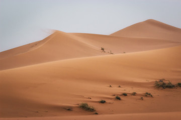 Fototapeta na wymiar Amazing landscape in the Sahara Desert, Merzouga Morocco. Beautiful adventure trip among the sand dunes