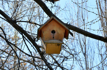 birdhouse on a tree