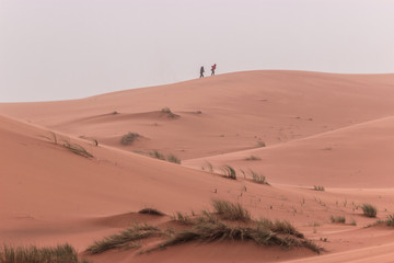 Fototapeta na wymiar People walk on the dunes of the Sahara desert, Merzouga Morocco.