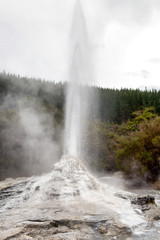 Lady Knox Geyser erupting