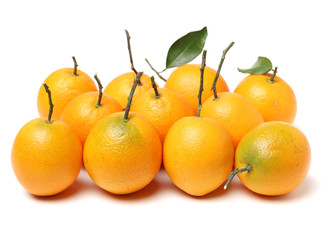 Orange fruit on the white background