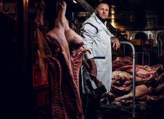 Fototapeta na wymiar The butcher in a white work shirt holding ax while standing in a refrigerated warehouse in the midst of meat carcasses