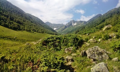 Fototapeta na wymiar picturesque view of the mountains